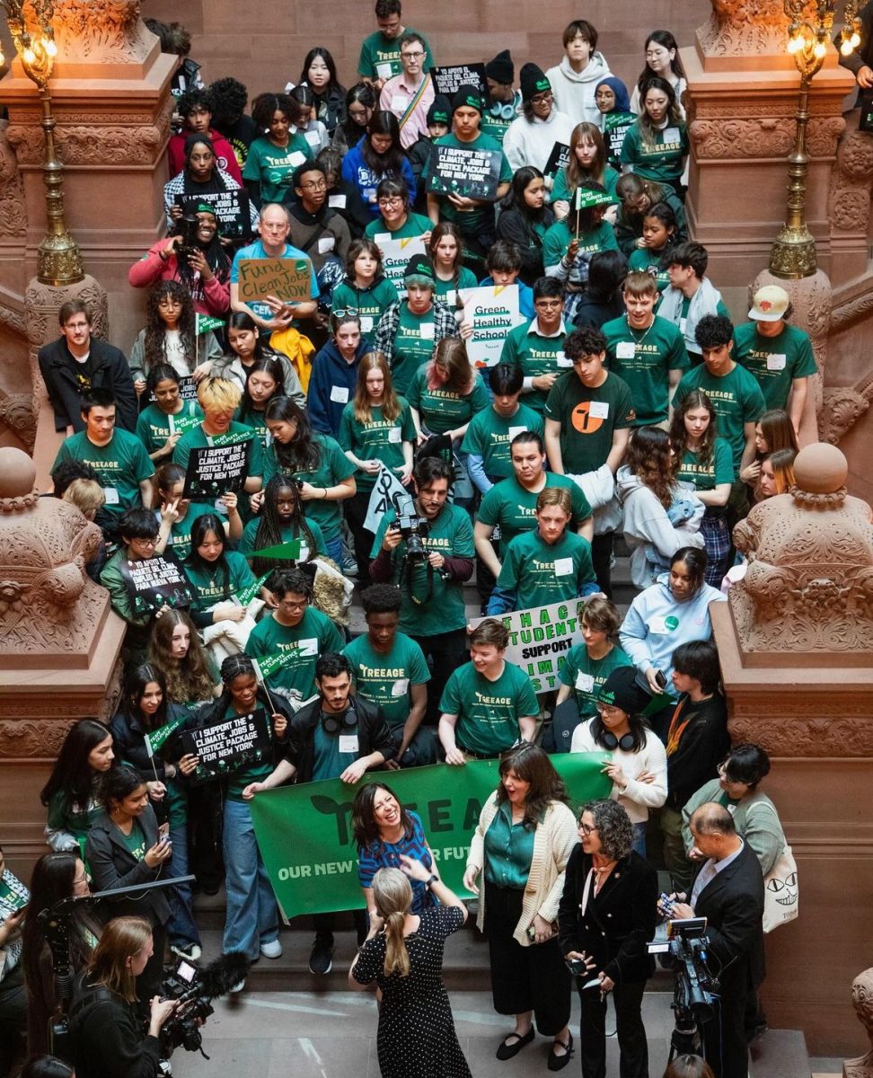 “What do we do when our climate’s under attack? Stand up fight back!”: MSE’S Environmental Activism Club Rallies in Albany