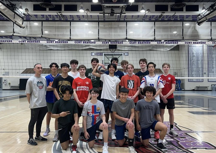 The current HSMSE boys volleyball team