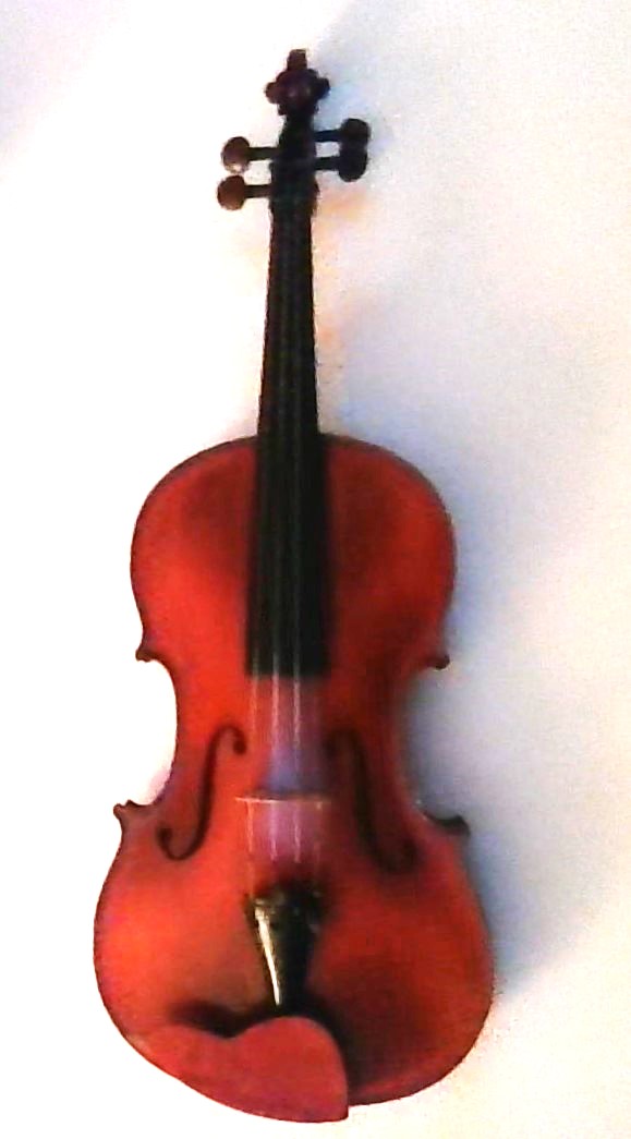 A viola.