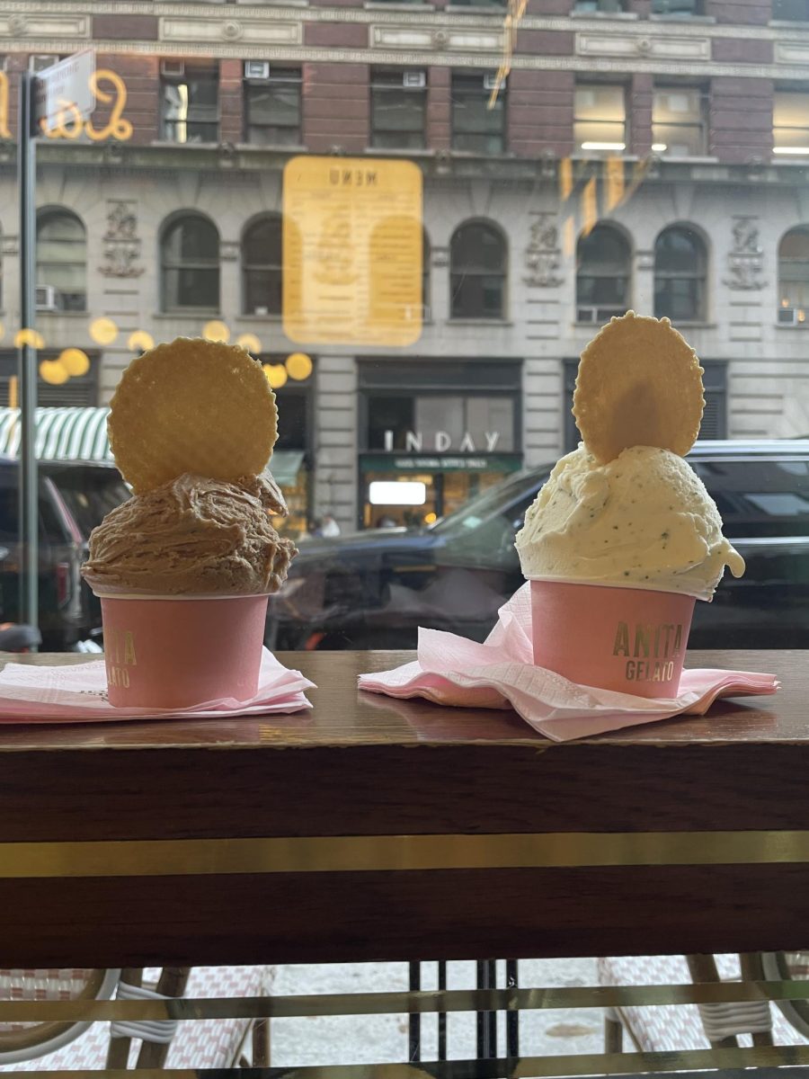 Two ice cream orders from Anita Gelato.