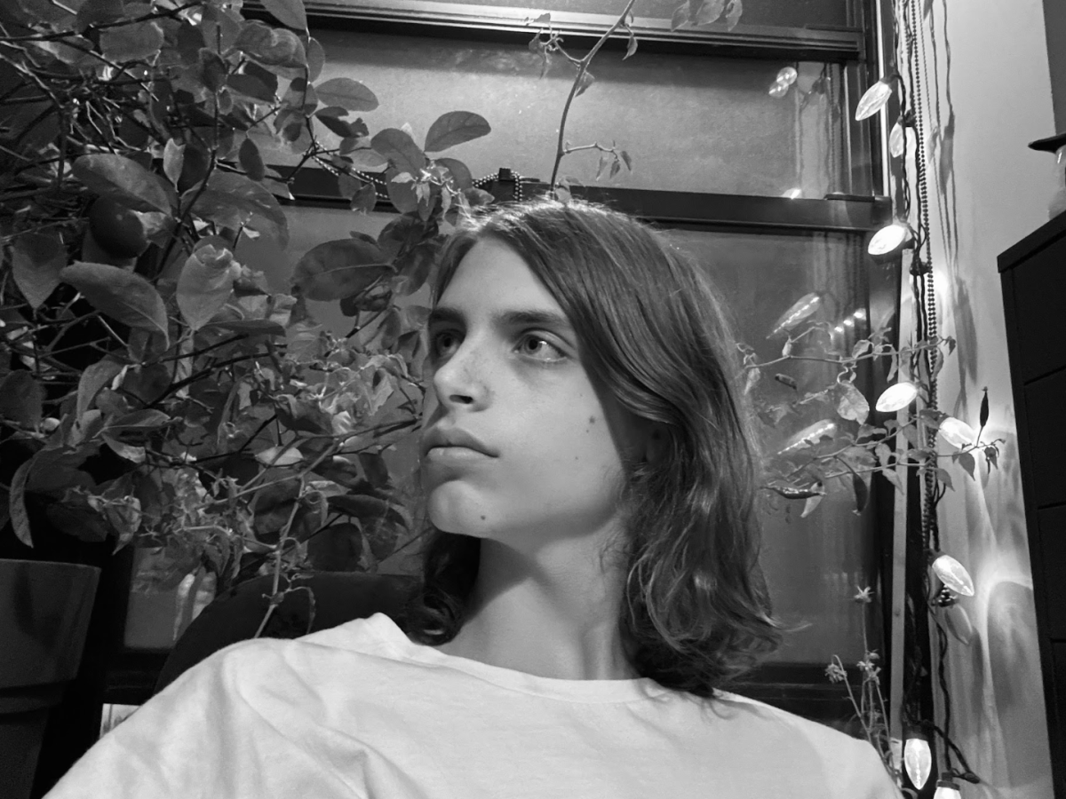 Felix Quezada-York