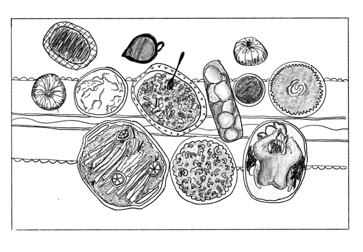 Teachers’ Thanksgiving Traditions