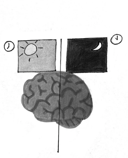 What Happens to Your Brain Past 10 p.m.?