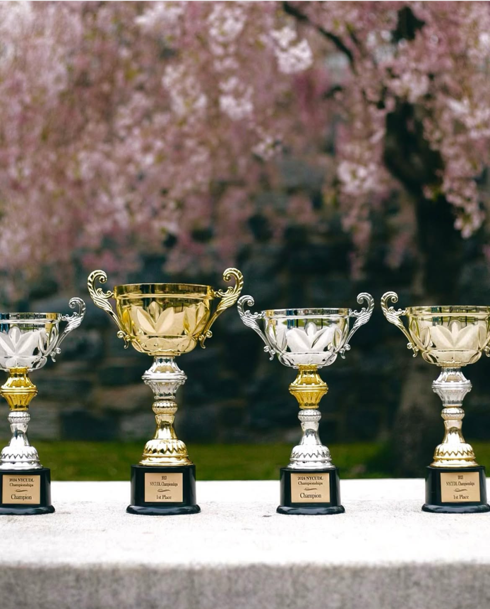 HSMSE Debate Team Visual - by Ella Devi
