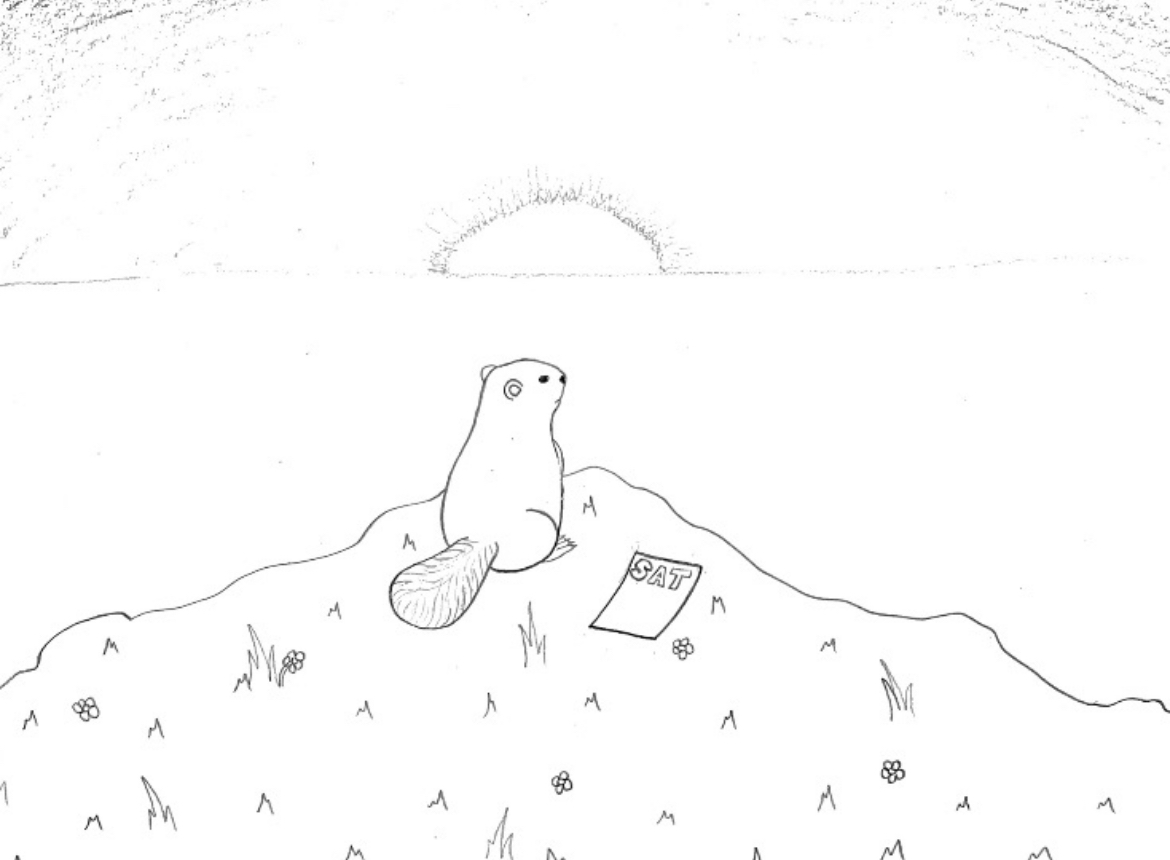 Why Students Need Their Own Groundhog Day