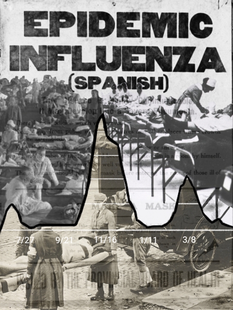 1918: The Legacy of the Influenza Pandemic