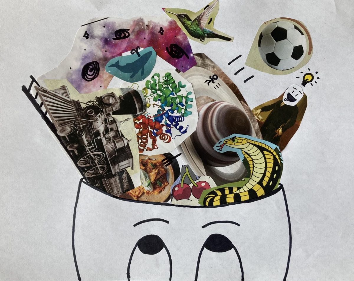 How Your Mind “Sees”