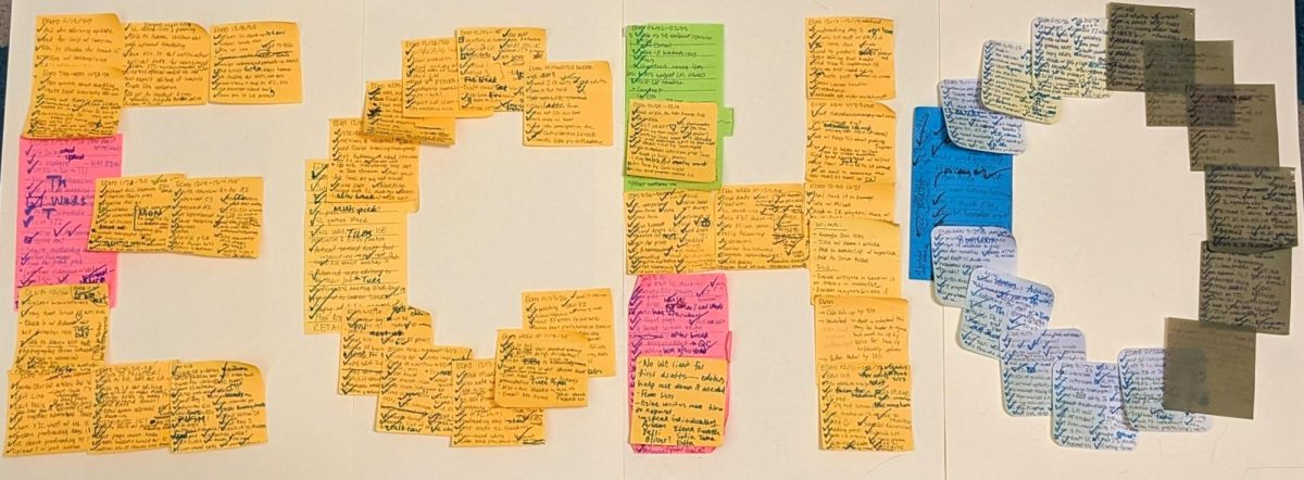 Over the course of senior year, I accumulated about 50 post-its full of newspaper to-dos. They guided my conversations each elective period and made my work more tangible and meaningful. Here, I’ve arranged the squares of paper, littered with check marks, to spell out “ECHO.”